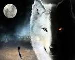 PRESIDENTE: LOBOxELITE WOLF; I.M.A. GERARDO LARA MONCADA                                    https://www.cyberjuegos.com/domino/Default.aspx?&GameID=domino&